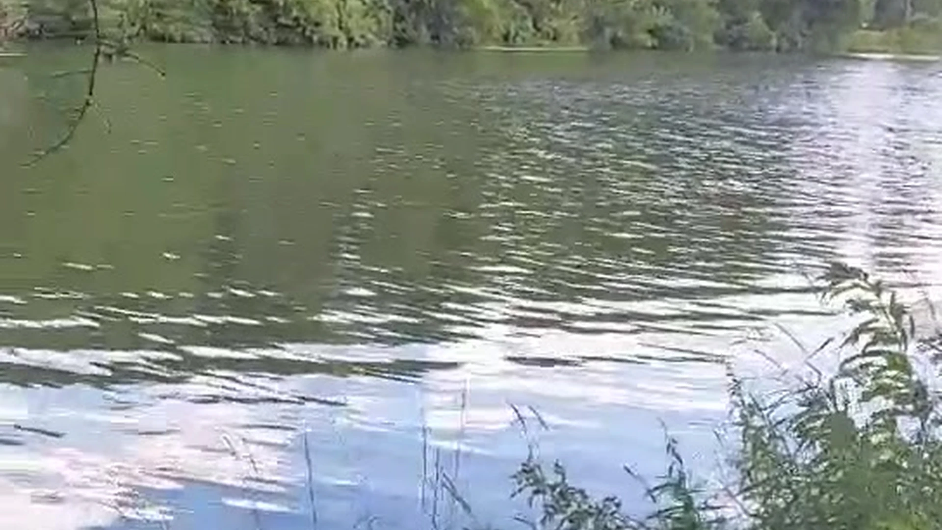 Redhead MandyFrizzle nude porn leak Full Video Leaked