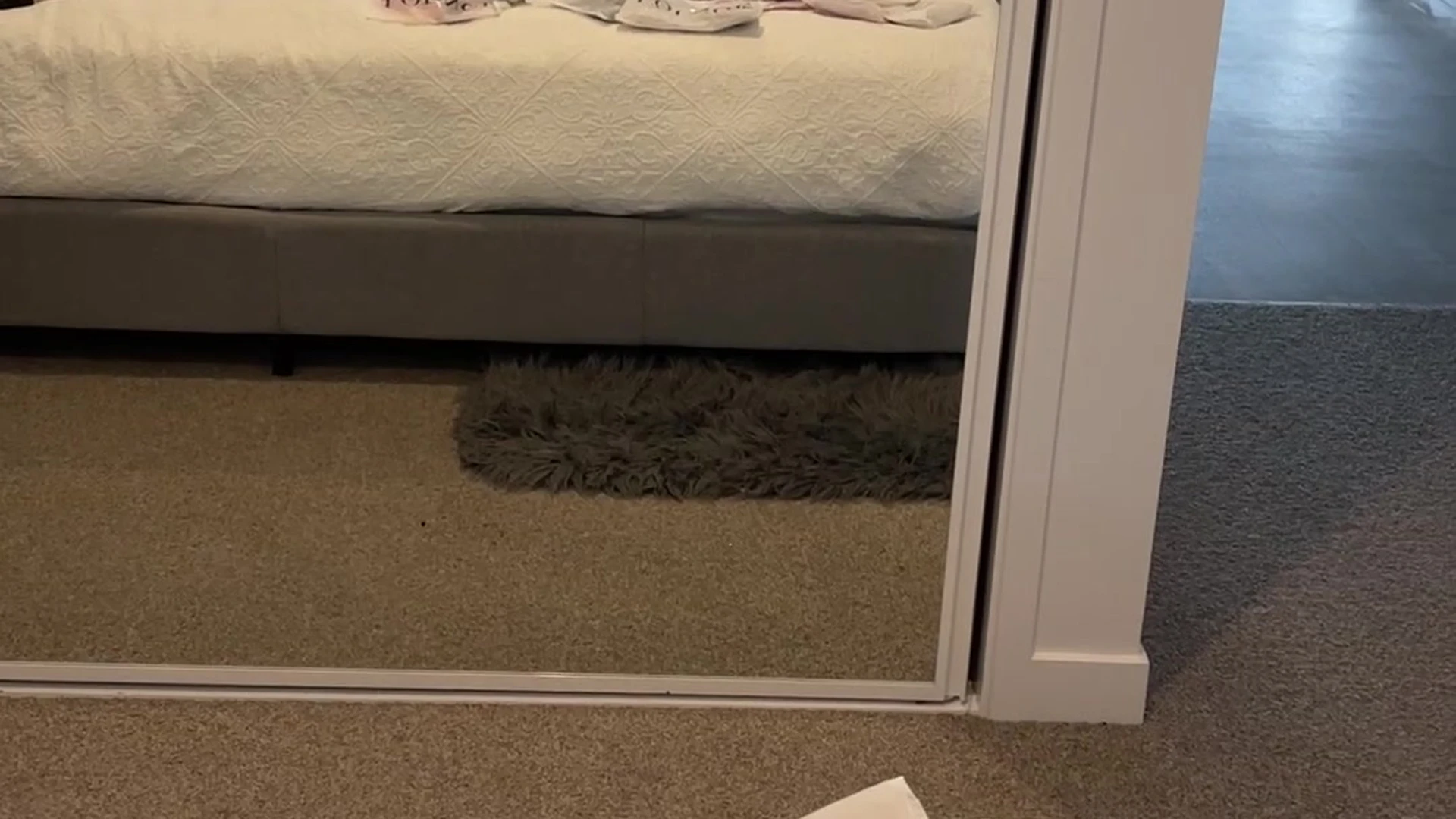 Exposed Courageous New Zealander Miss_dxxx porn xxx Exclusive full vid