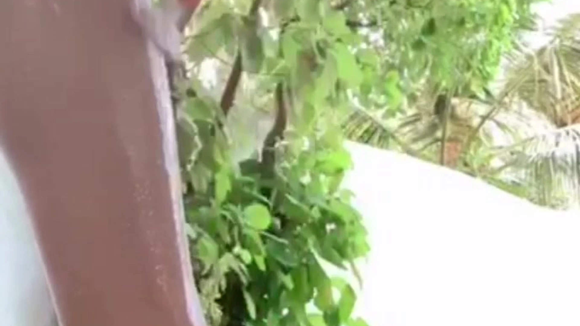 EPIC Magnetic  Petite Amanda Cerny sex