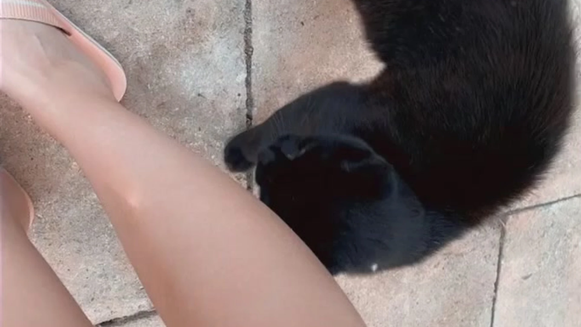 Exposed Angelic Cosplayer Milkimind face