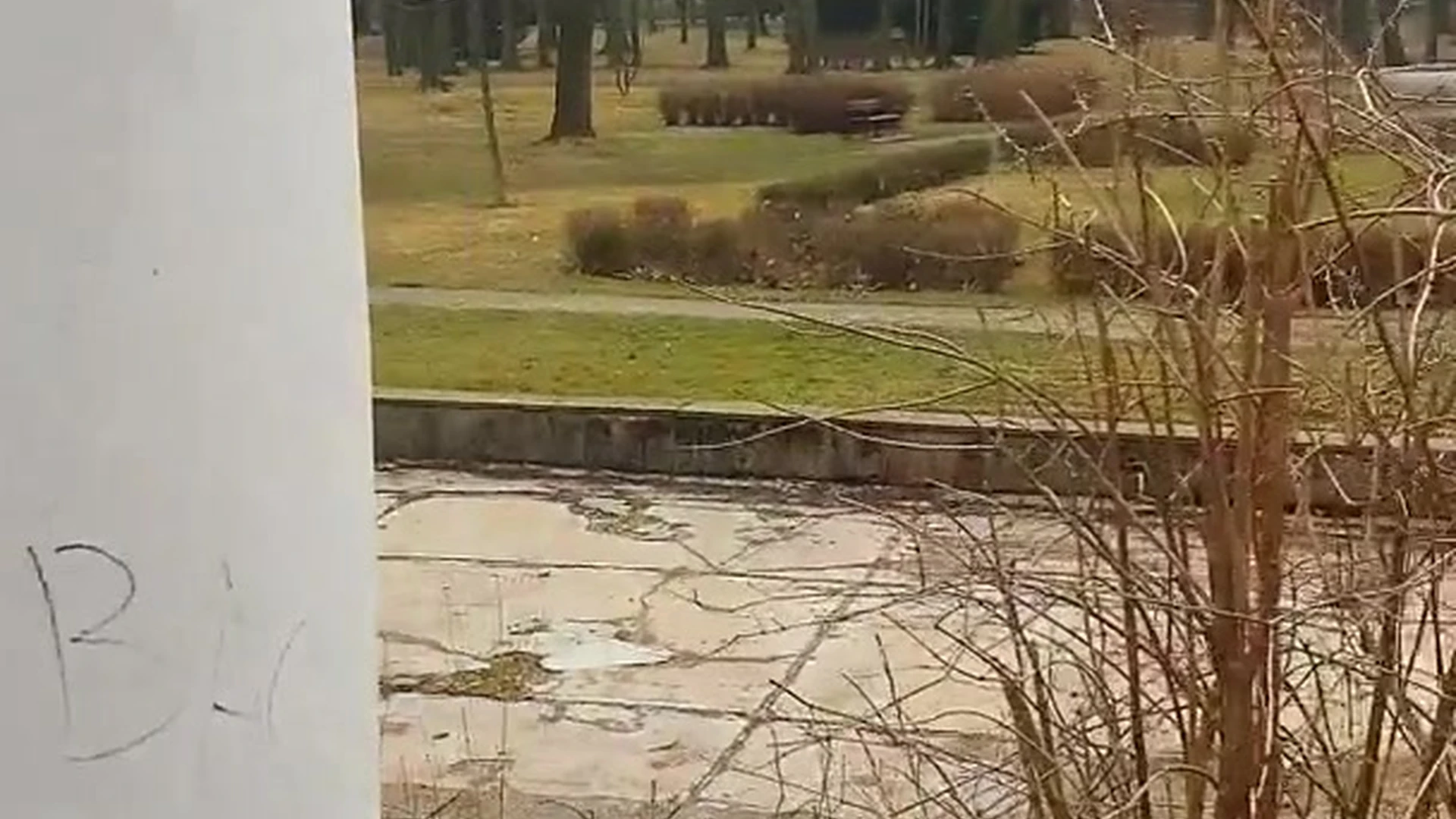 Big Tits PolaRainbow nude ass