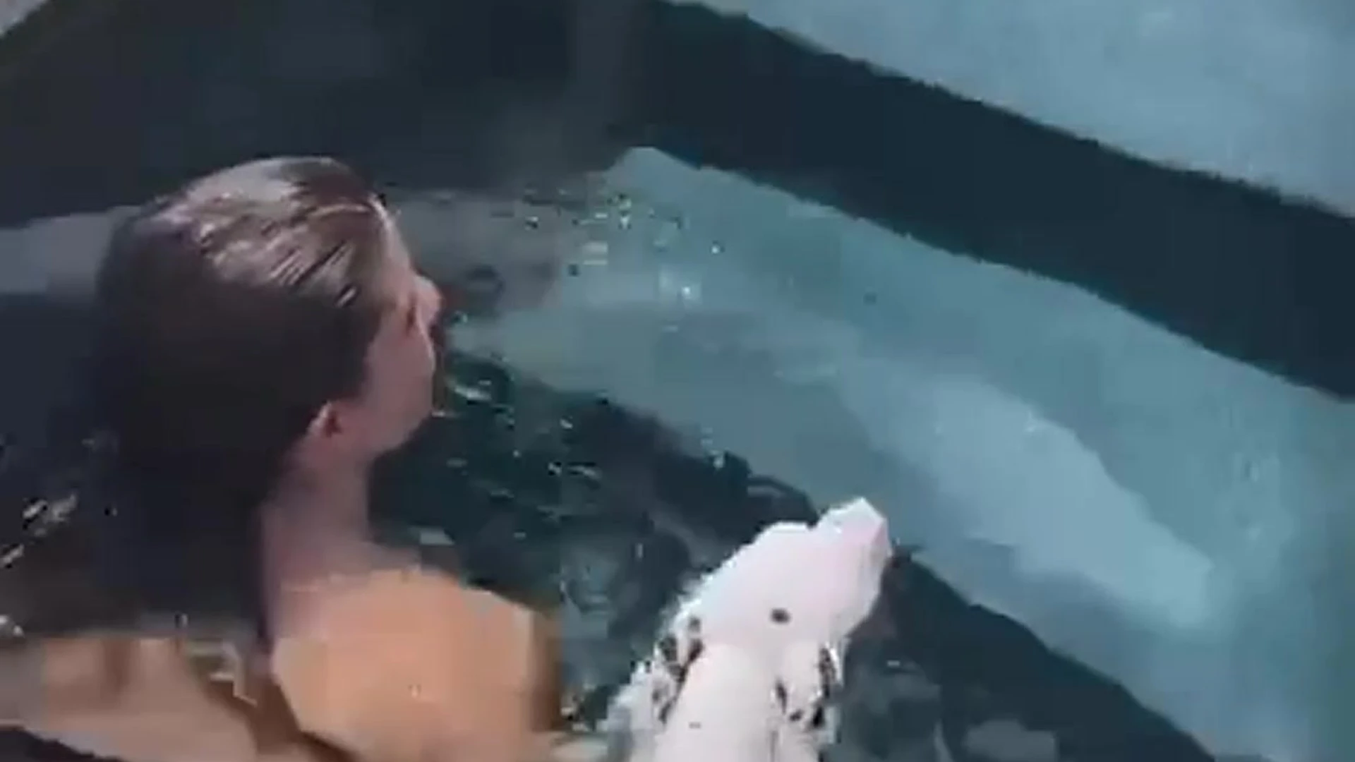 Sensational American Amanda Cerny leak