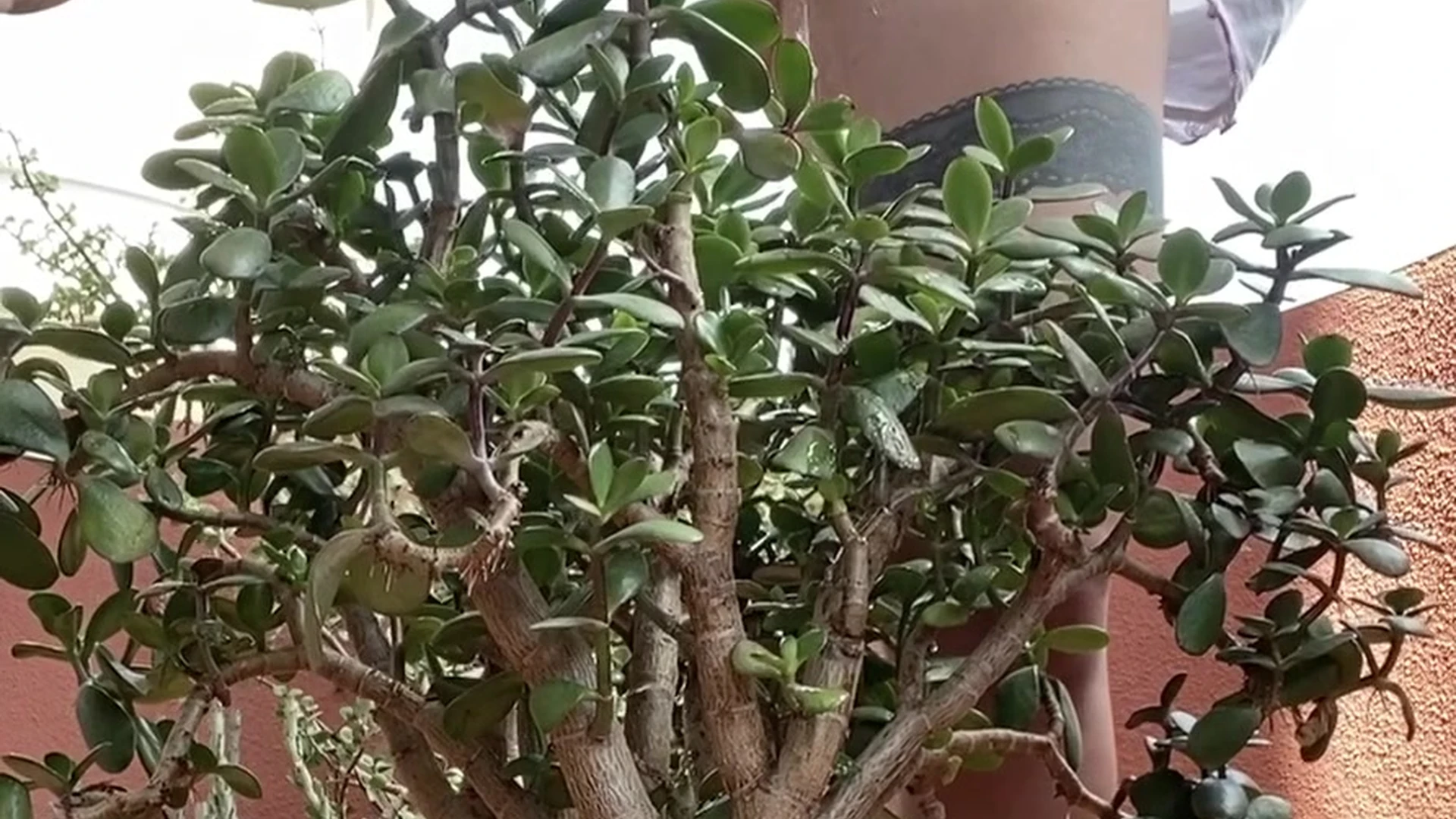 Tenacious Italian martina smeraldi onlyfans nudes