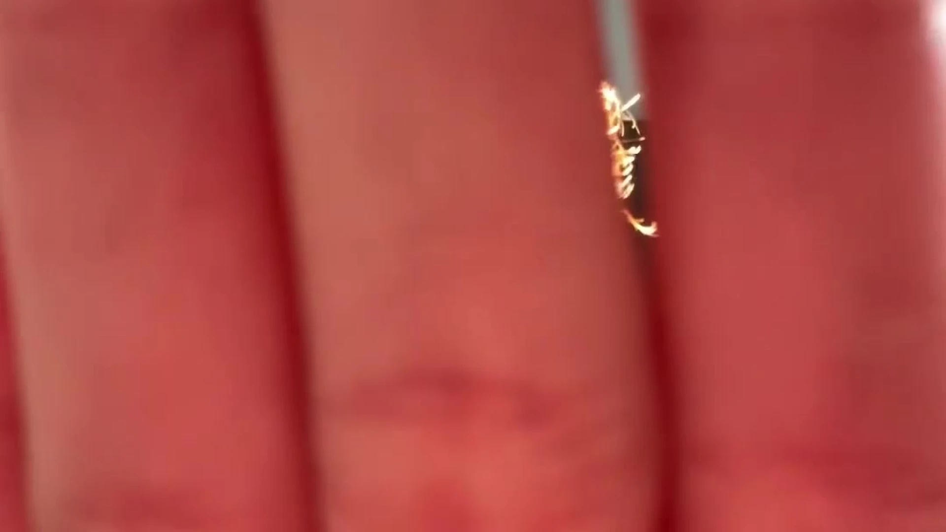 Sensational hotie Latina Rachel Hanna Naked Leaks VIDFULL