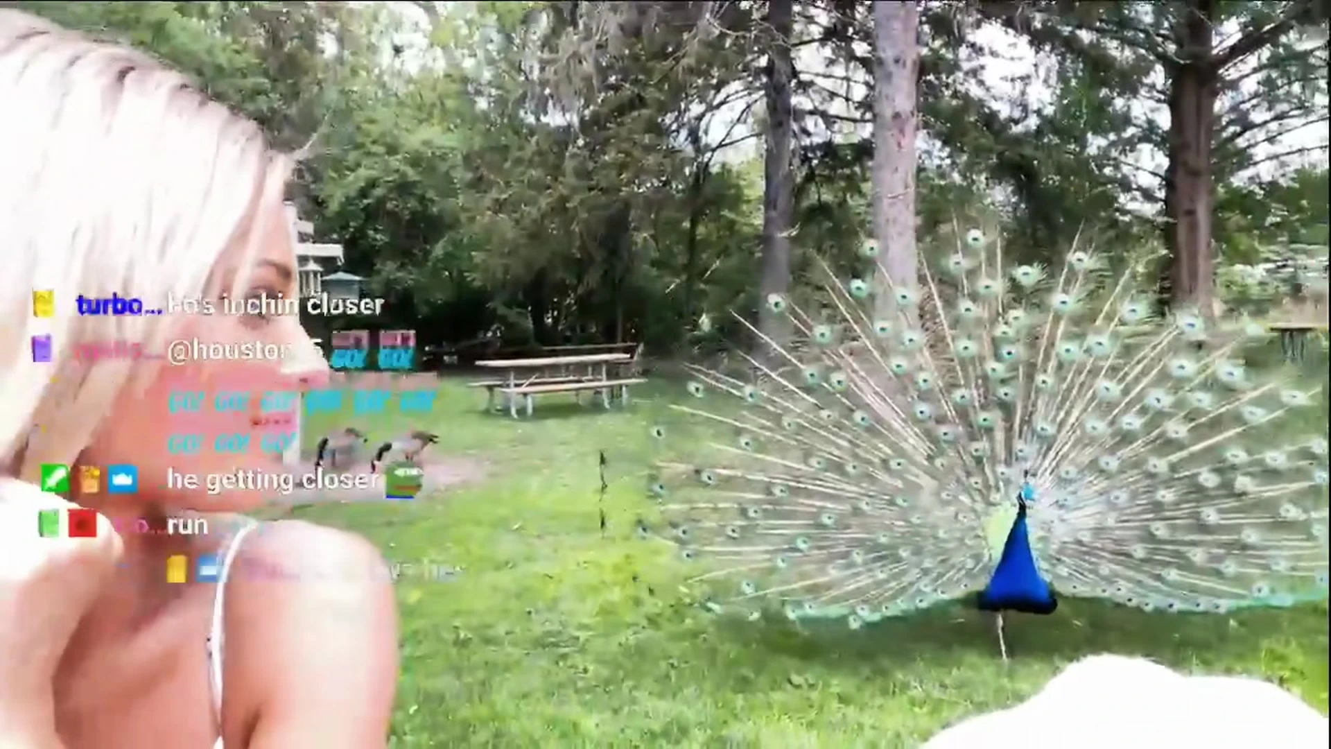 Exposed Fake Tits thedandangler nude boobs