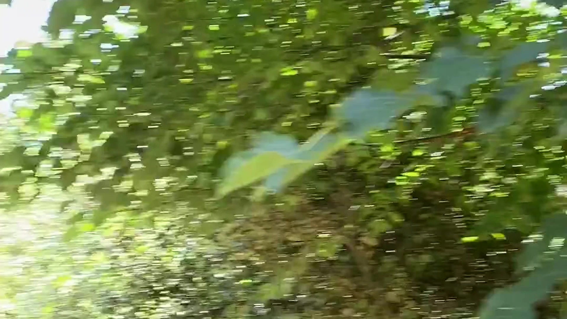 Bisexual MySweetApple Onlyfans Leaks EXPOSED